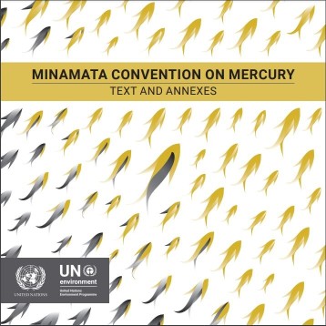 cover_Minamata Conv Mercury