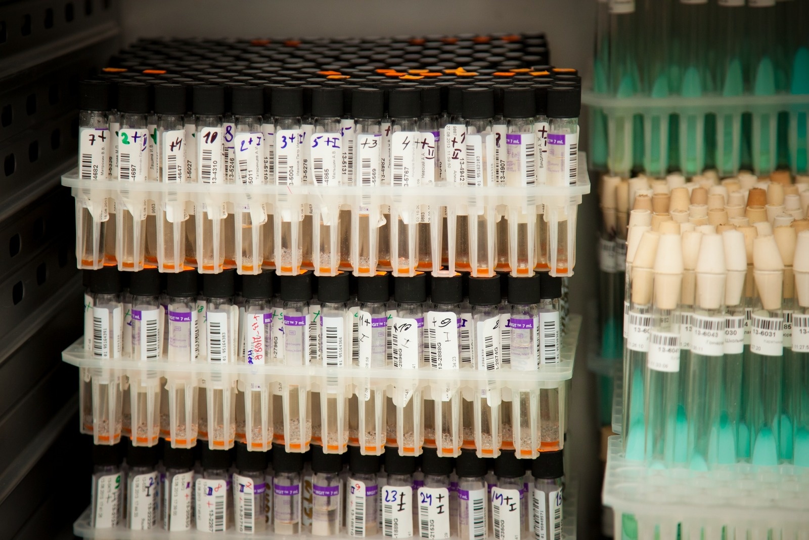 Tubes with samples Tubes with samples