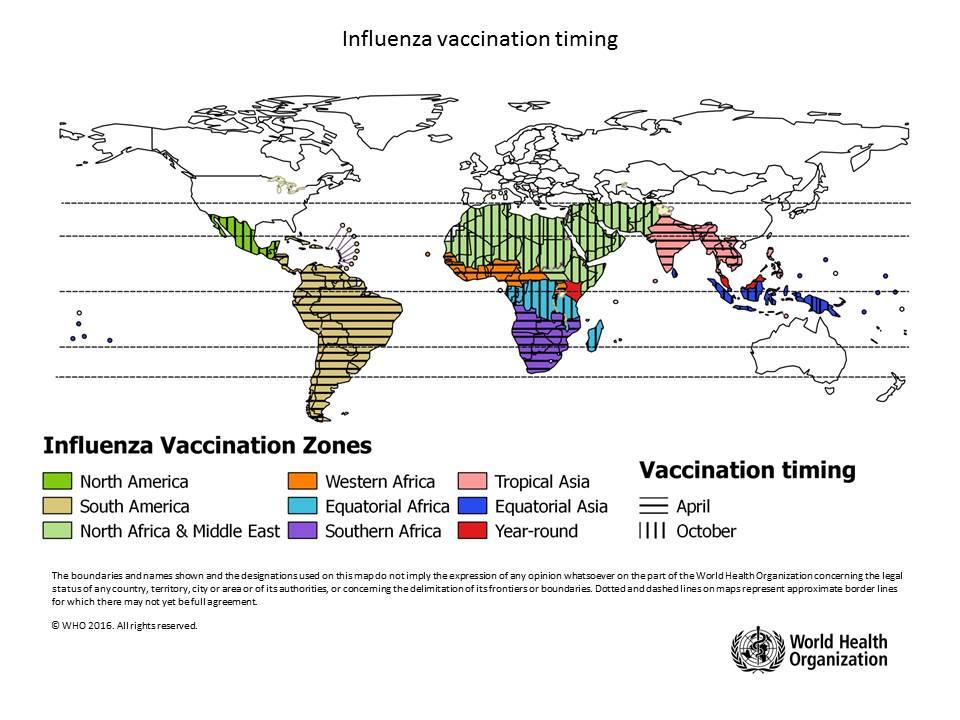 When to vaccinate Influenza-vaccination-timing
