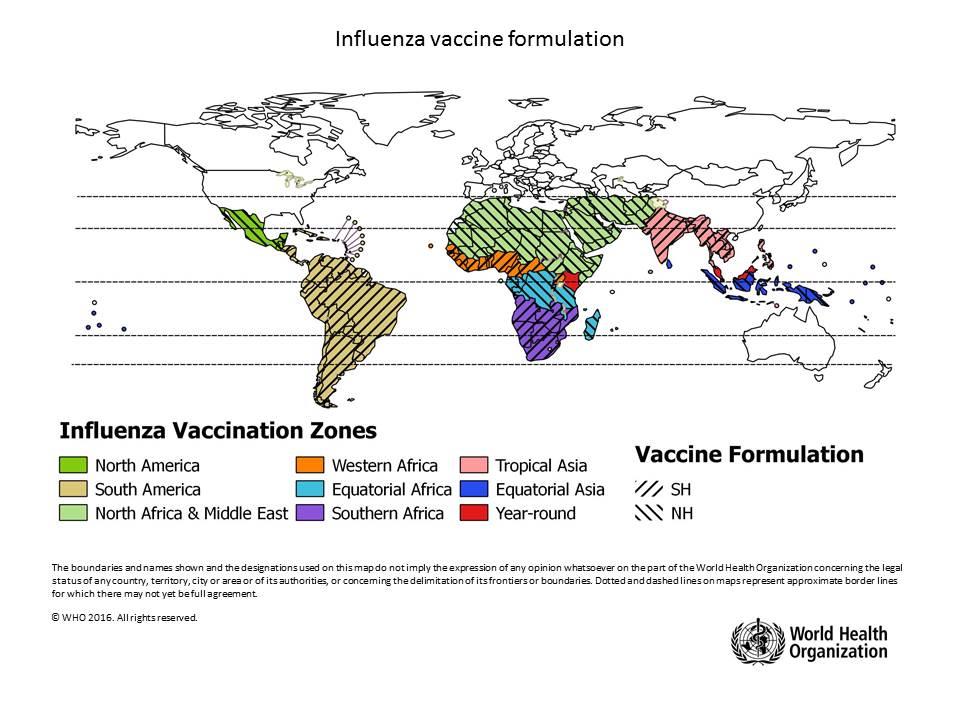 Map of influenza vaccine formulation Vaccine_formulation_1
