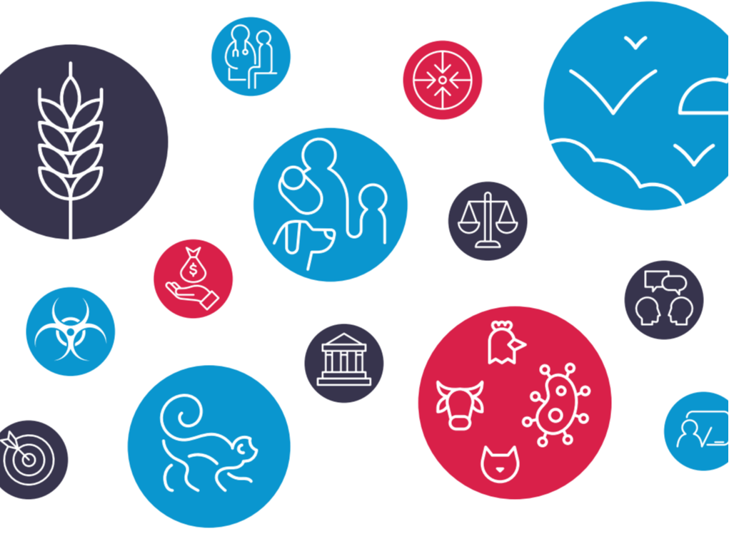 TZG Cover altered TZG Cover altered