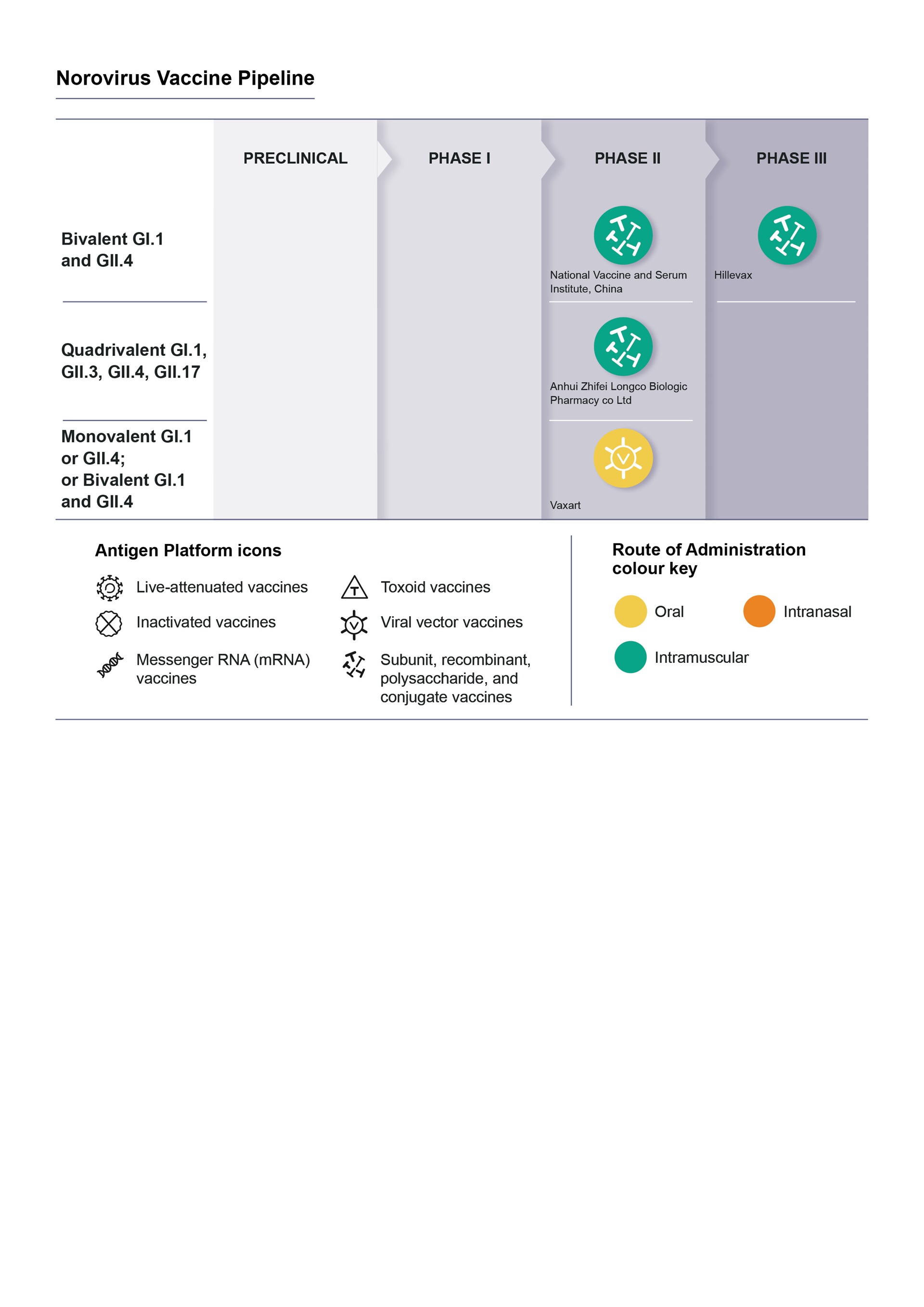 who-ibv_Norovirus_17062022_EO