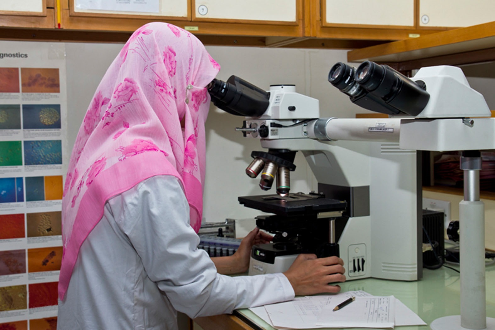 Nuclear technique to reduce disease transmitting mosquito populations Nuclear-technique-to-reduce-disease-transmitting-mosquito-populations