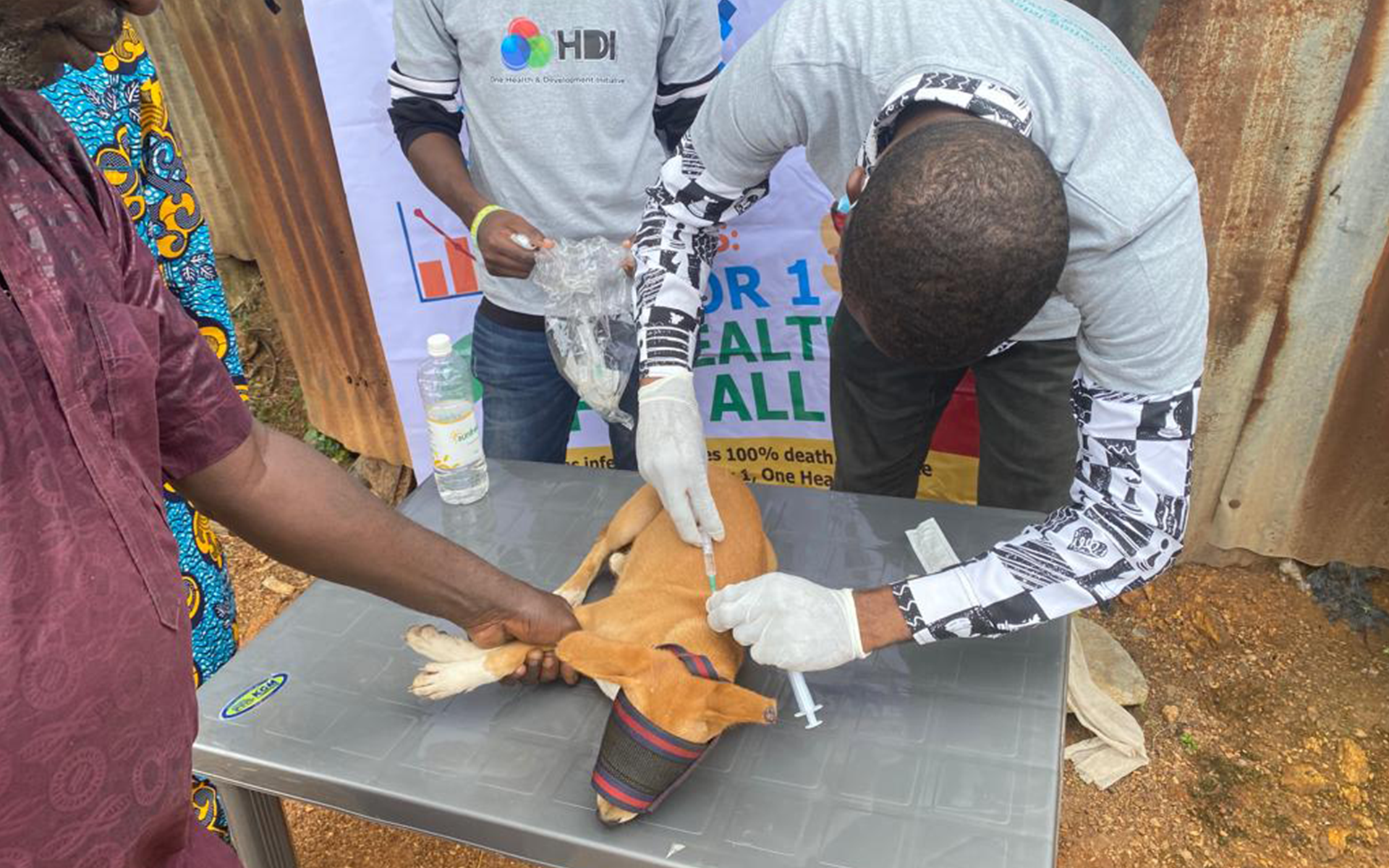 Rabies-Nigeria2 Dogs vaccination remains one of the best way to fight against rabies that mainly affects suburban and rural communities  where prevention programs are limited.