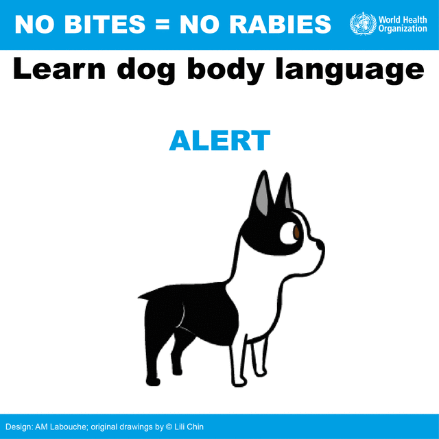 No bites = No rabies No bites = No rabies
