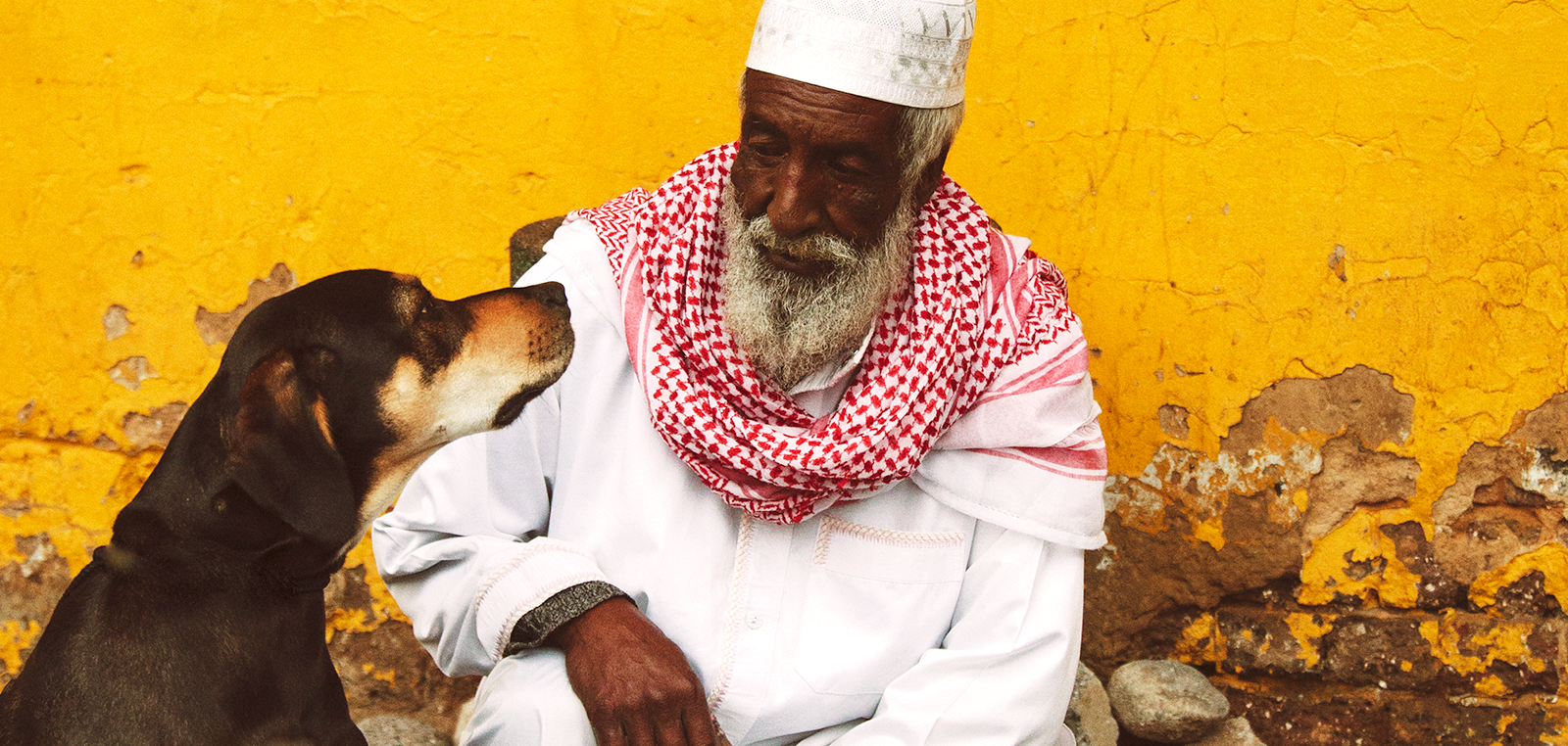 WRD2020 Dog and old man starring at each other