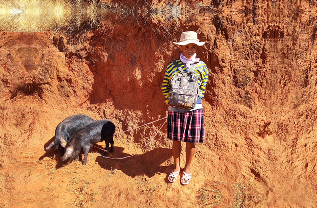 LVIF-Madagascar Taenia solium is a zoonotic parasite that circulates between people and pigs. In humans, it often leads to the disease neurocysticercosis, which is an important public health problem.