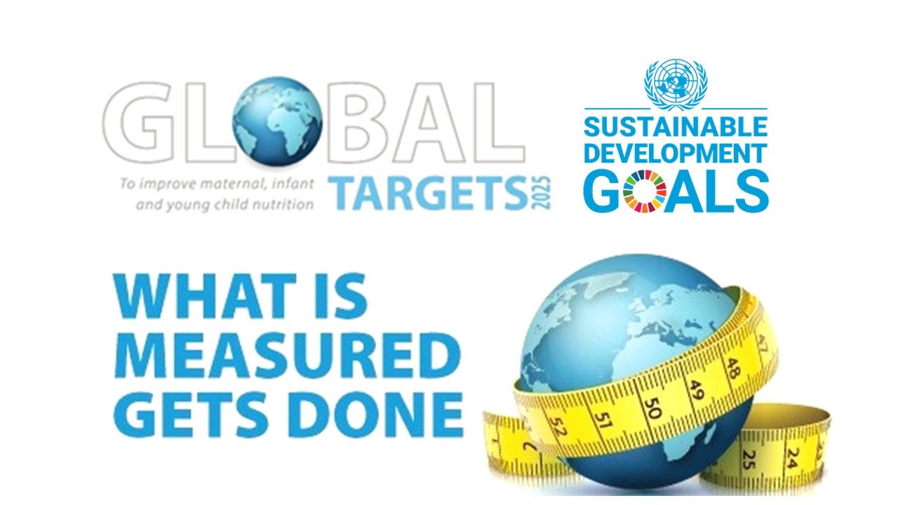 global-tracking-tools Global Nutrition Targets Tracking tool logos