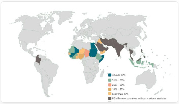 fgm-calculator Thumbnail