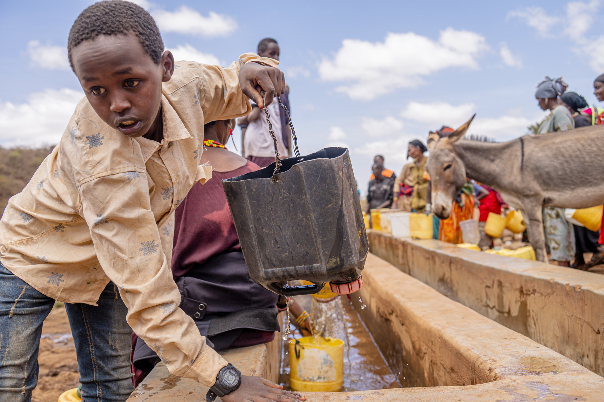 Miaron_0023-cropped Miaron_0023-cropped