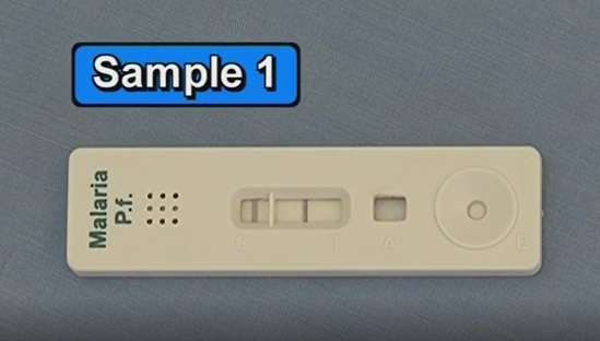 Exercise 1: Q and A 1
