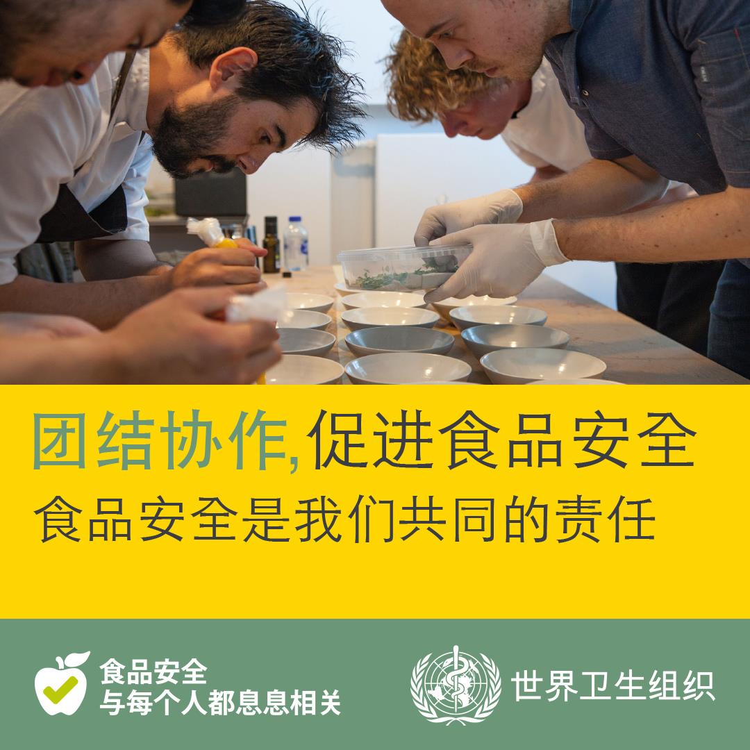 团结协作促进食品安全