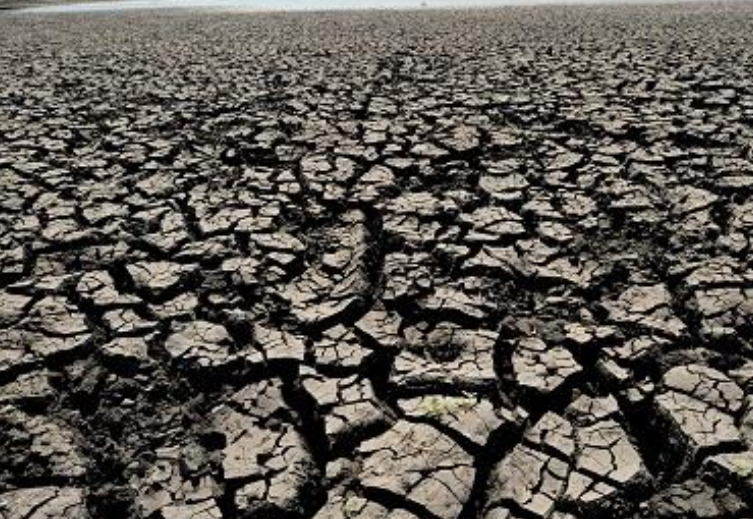 A nurse is filling a health check form at COVID-19 Clinic, Samut Sakhon Hospital to identify the symptoms of the novel coronavirus A nurse is filling a health check form at COVID-19 Clinic, Samut Sakhon Hospital to identify the symptoms of the novel coronavirus