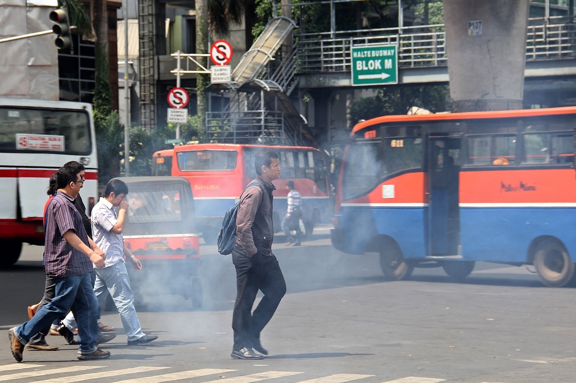 Ambient (outdoor) and household air pollution combined cause diseases and premature deaths outdoor pollution