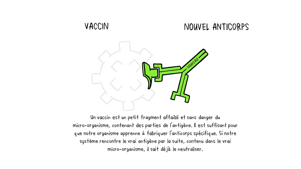 Vaccines Antibody illustration 02_29 Oct Vaccines Antibody illustration 02_29 Oct