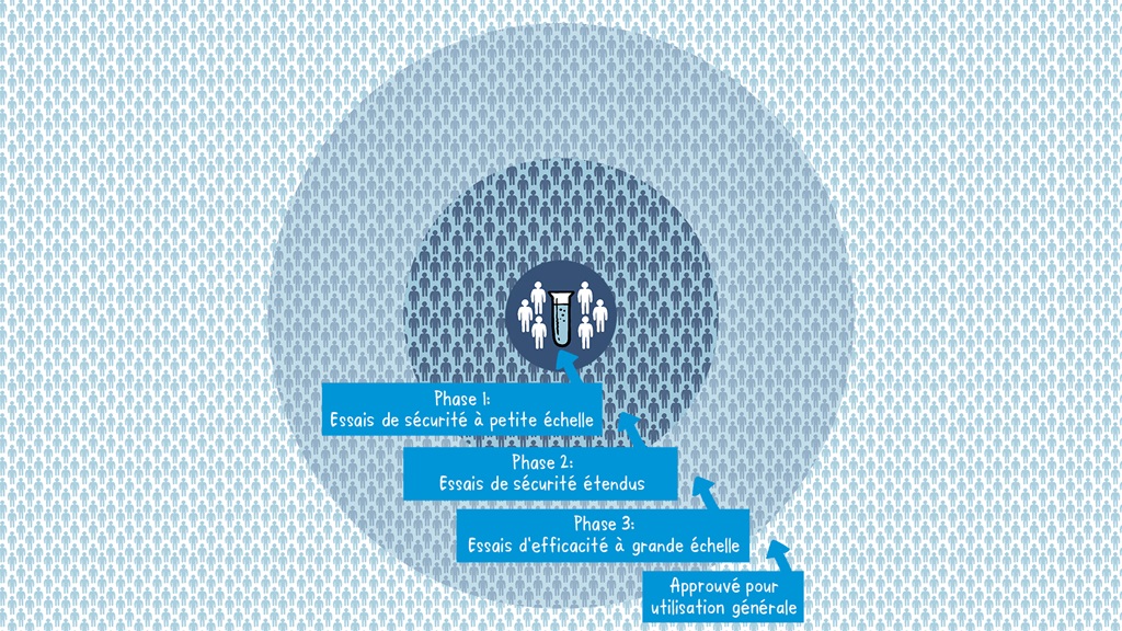 Topic Two CIinical Trials_Static fr Illustration sur les différentes étapes du développement d'un vaccin