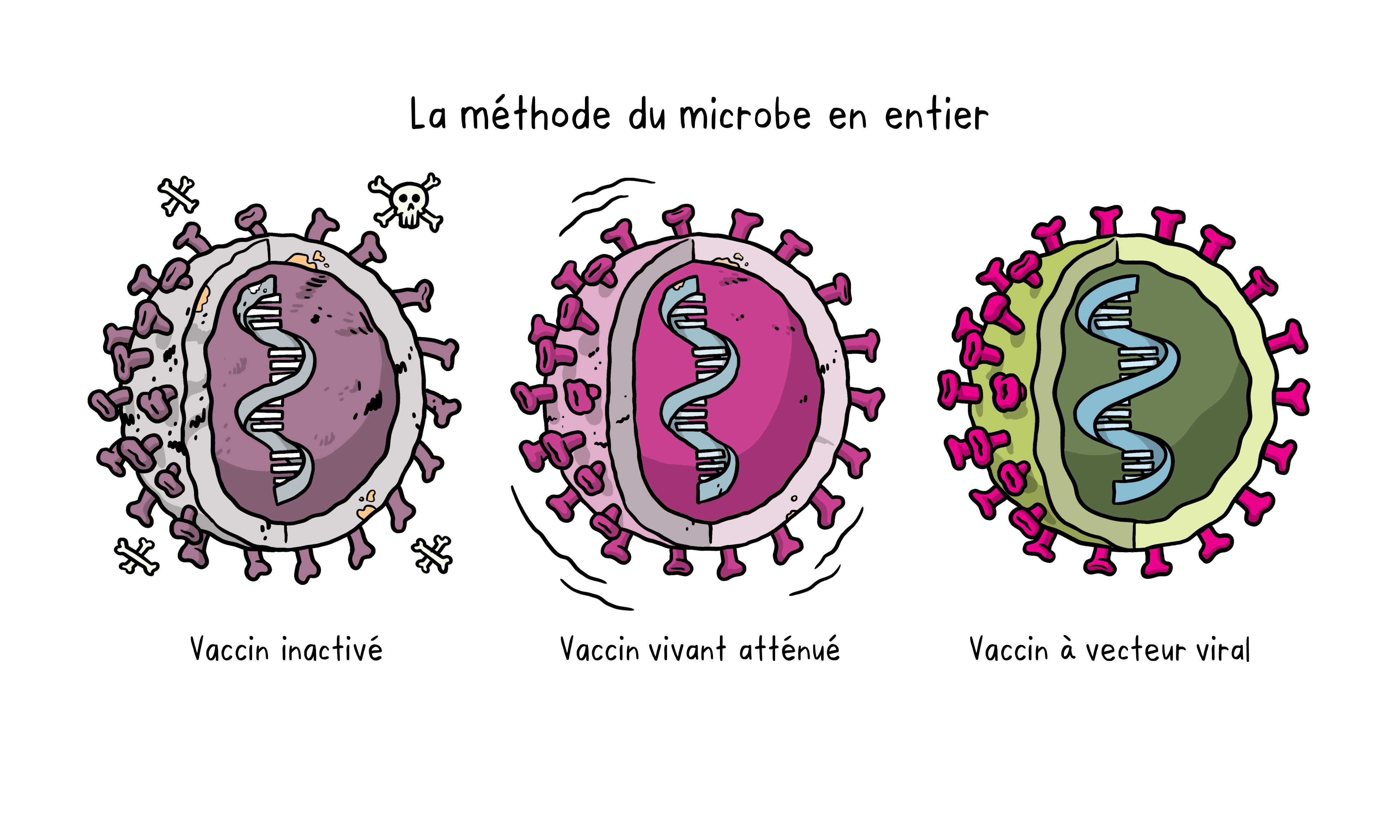 Vaccines Topics Four images working 02 Vaccines Topics Four images working 02
