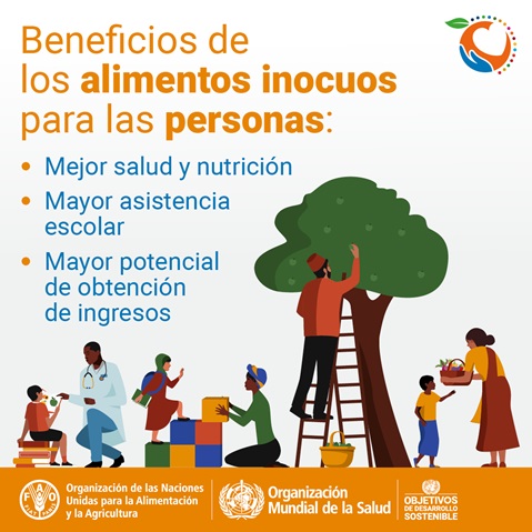 Día_mundial_de_la Inocuidad_Alimentos_ 2021_tarjeta2 Día mundial de la Inocuidad de los Alimentos 2021