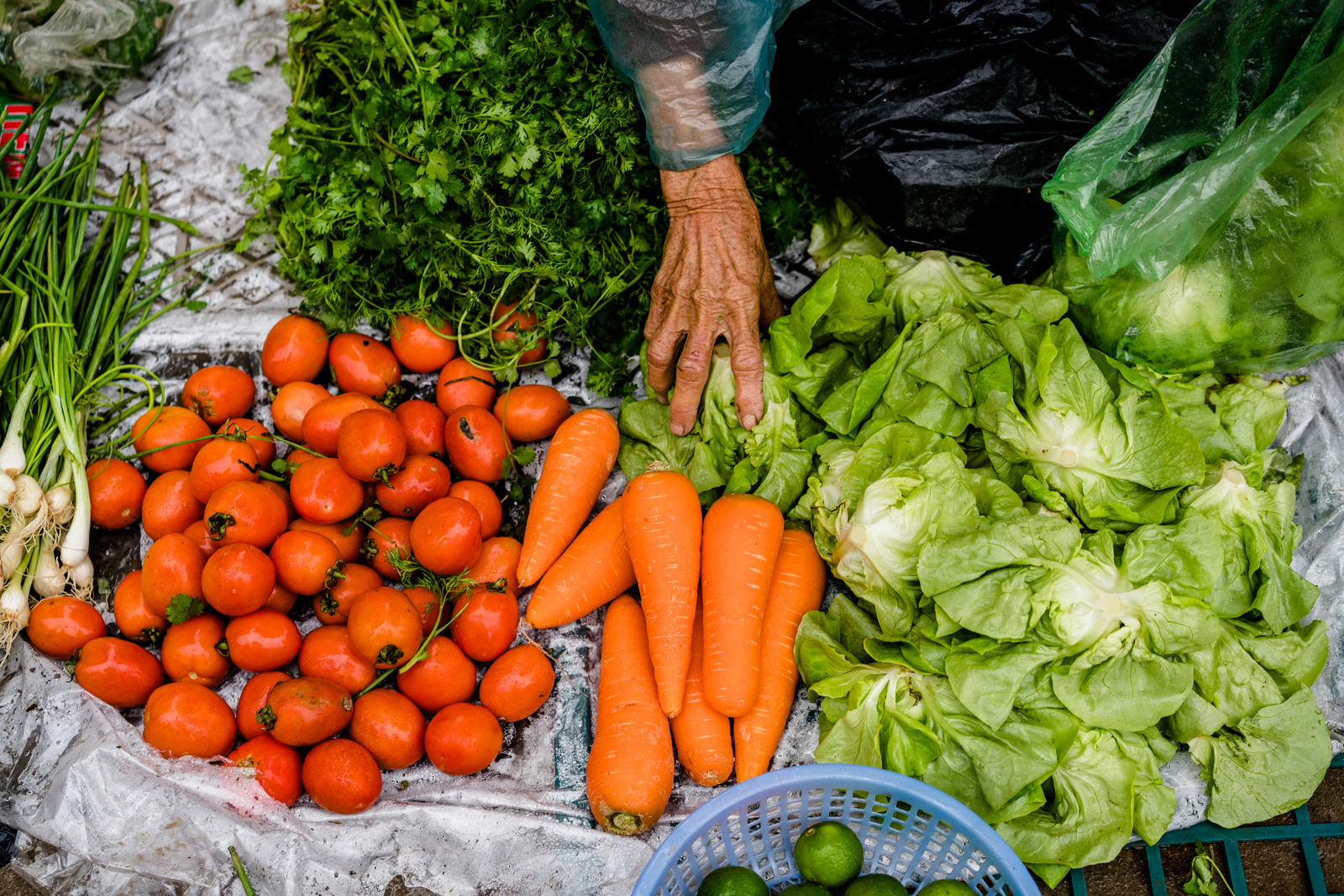 WHO_061147 Vegetables are sold in a small local market in Doi Son village, Ha Nam Province, Vietnam.