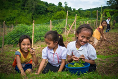 mch_field_visit_phonsaly8 mch_field_visit_phonsaly8