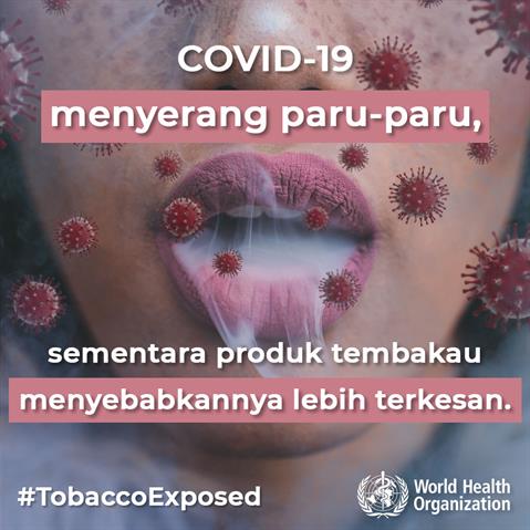 COVID-19 preys on lungs Infographic visualising the recommended advice.