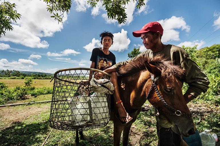 2004 A father and his son, along with their horse, spend two hours walking to fetch water. They belong to 11 million Filipino families who are still deprived of clean water.