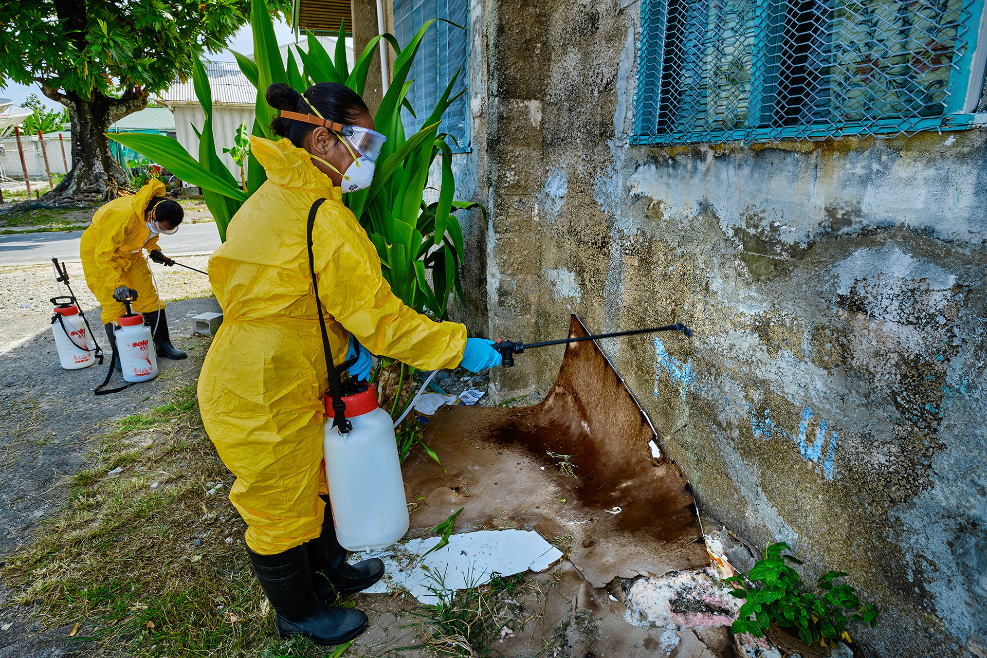 Dengue hero image Community health workers wearing Personal Protective Equipment (PPE) spraying insecticide to control mosquito larvae in the communities of Tuvalu.