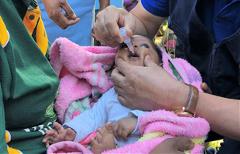 PNG poliovirus outbreak Baby receiving poliovirus vaccine in PNG